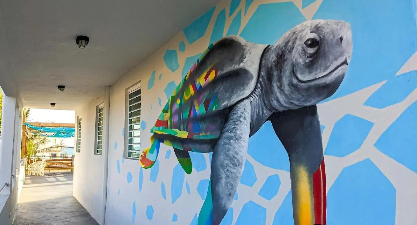The Surfing Turtle Hotel Luquillo